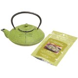 Primula PCI-5228 Cast Iron 28 Ounce Tea Pot