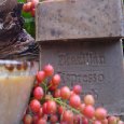 Brazilian Espresso Scrub Soap with Cocoa Butter and Hazelnut Citrus Essential Oils 5.5 Oz